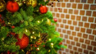 クリスマスツリー